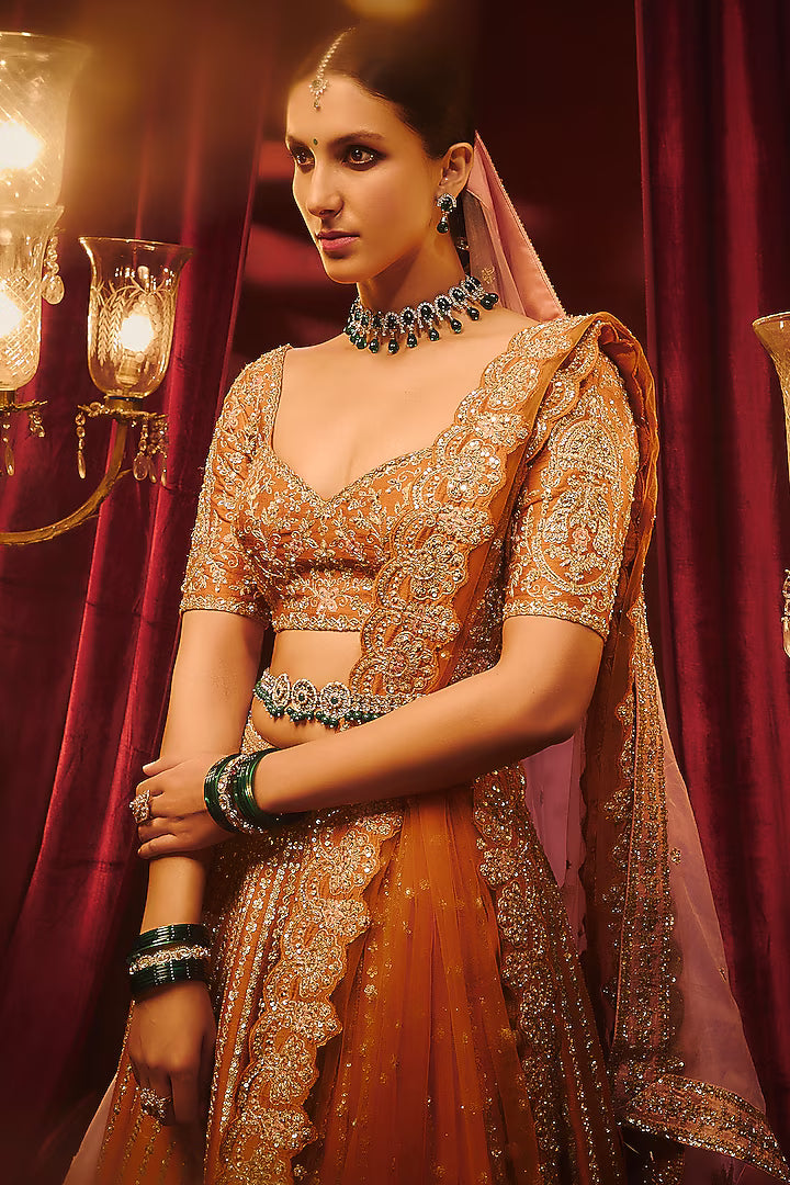 Rust Raw Silk Hand & Machine Embroidered Lehenga Set